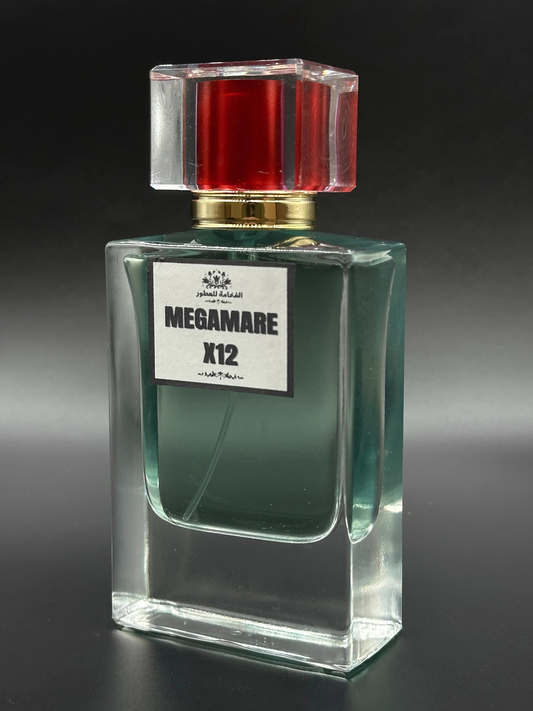 MEGAMARE X12