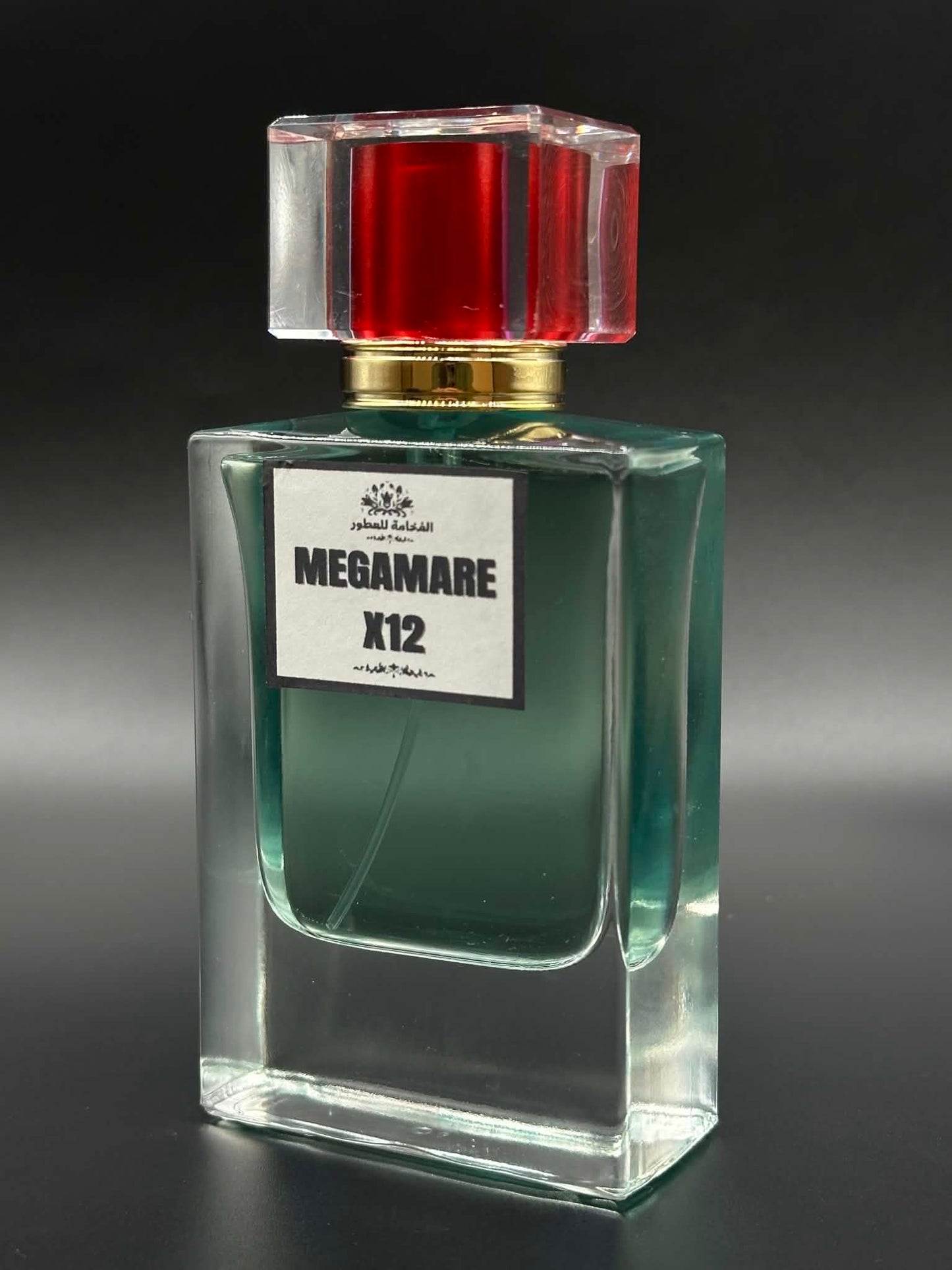 PROMO MEGAMARE X12