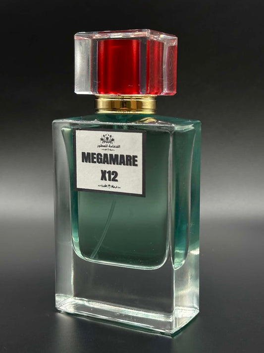 PROMO MEGAMARE X12